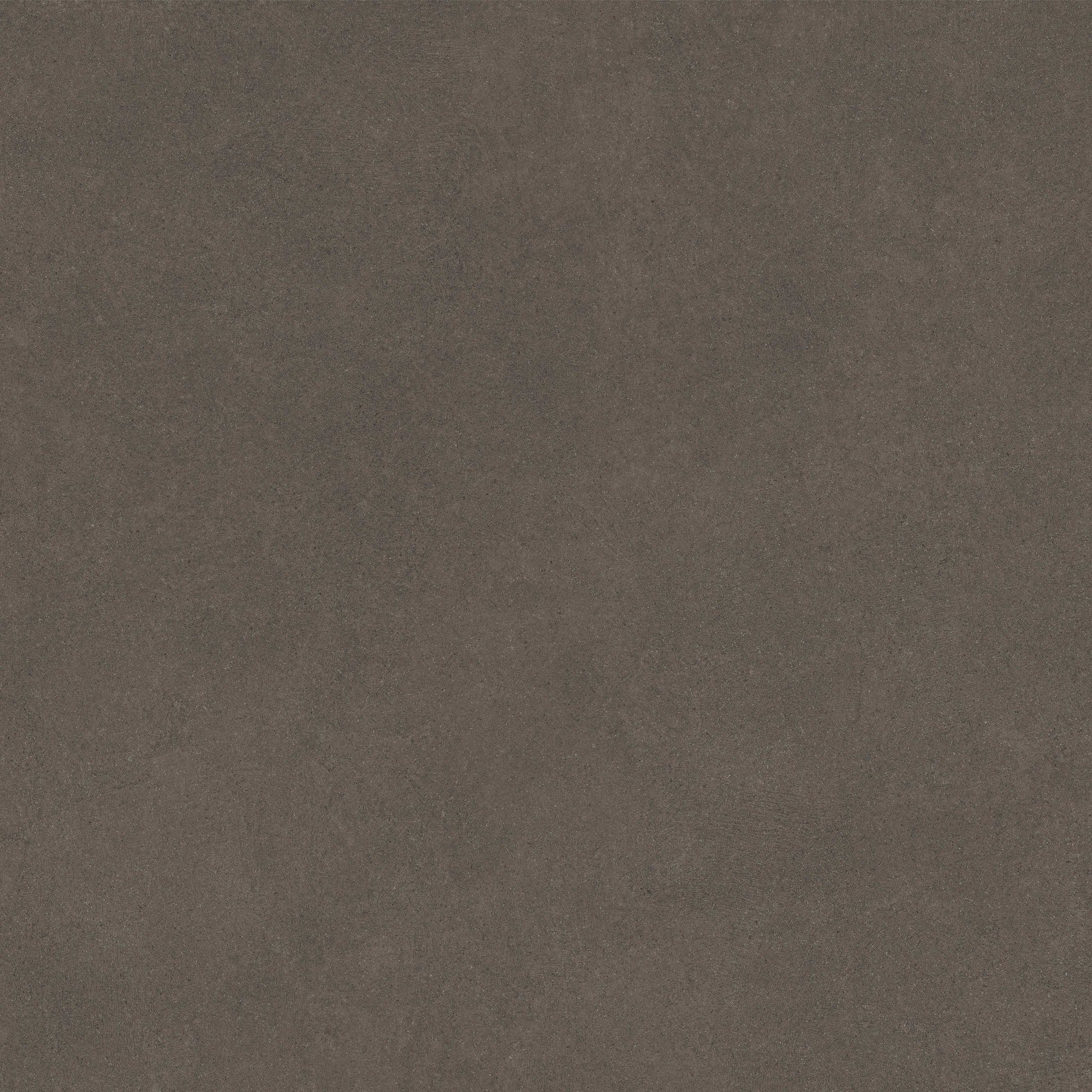 Casa Taupe