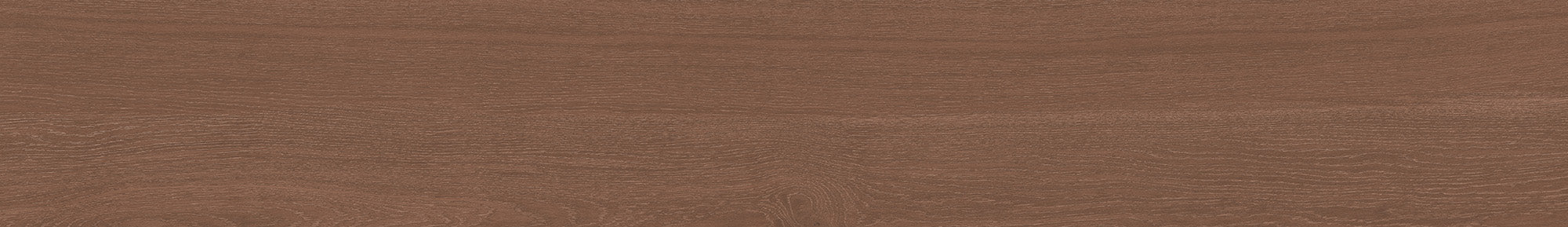 Lignum Bold