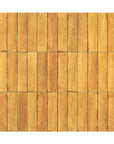 Nature Ochre