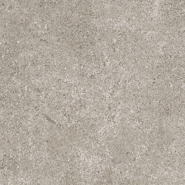 Queensland Grey